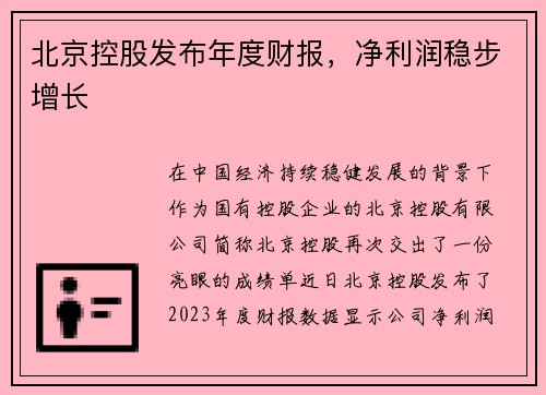 北京控股发布年度财报，净利润稳步增长